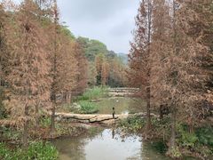 -云溪植物园
