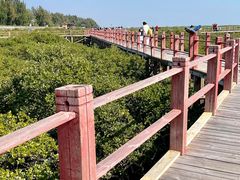 -北海金海湾红树林生态旅游区