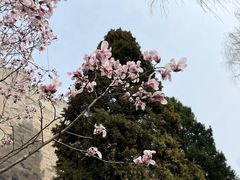 -东华门大街小区