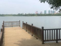 -飞来湖湿地公园