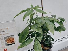 -茶港食堂(武昌店)