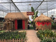 -新地休闲农场