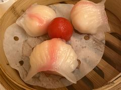 虾饺皇-正佳广场万豪酒店-粤菜餐厅·点心·海鲜·聚餐