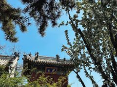 -潭柘寺景区