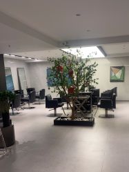 -付军剪艺JF ProSalon