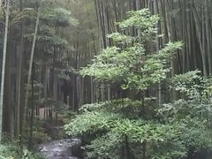 -黄公望隐居地