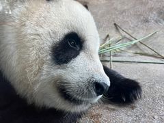 -宁波野生动物园
