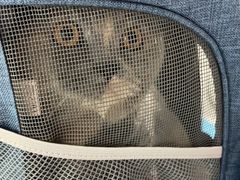 -达爱动物医院·犬猫分区·CT·复杂眼科(远洋山水分院)