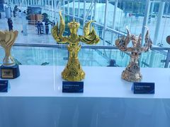 -深圳市宝安体育中心体育场