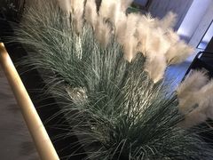 -稻鲜记潮汕砂锅粥