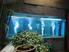 -又见炊烟私房菜(敬亭路店)