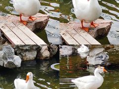-龙华寺