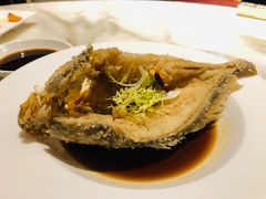-顺德美的万豪酒店-万豪中餐厅