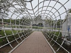 -长春市南湖公园