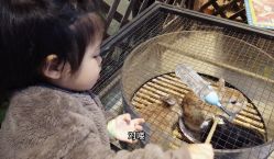 -酷嗒动物文化乐园(cutezoo西溪乐天城店)