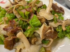 青椒炒香蕈-蔼若春.传承三十年云南菜(金碧公园店)