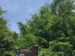 -山王坪喀斯特国家生态公园