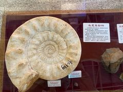 -福州科技馆