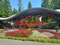 -东平国家森林公园