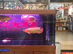 -洪忠涮烤王(嵩山路店)