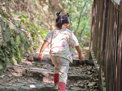 -铁山坪森林公园