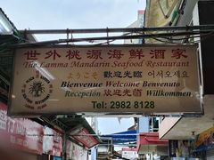-南丫岛