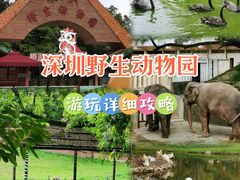 -深圳野生动物园