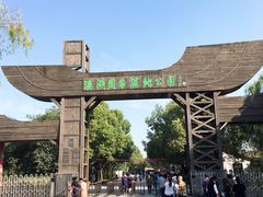 -溱湖国家湿地公园