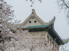 -武汉大学-樱园