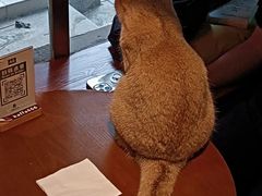 -咖法森林·咖啡  酒吧(天河店)