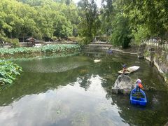 -忠山公园