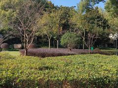 -徐家汇源景区-衡山公园