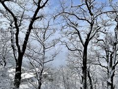 -终南山南五台景区