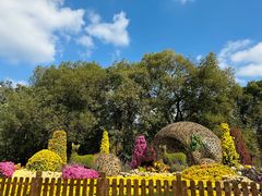 -上海共青森林公园