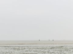 -碧海金沙