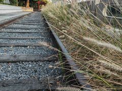 -杭州城北体育公园