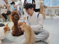 -Heymao猫咖.咖啡厅(东门店)