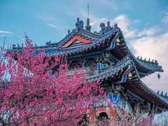 -梅花山(明孝陵内)