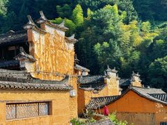 -杨家堂村