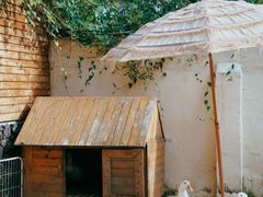 -HERRE·FARM 赫尔露营农场·团建聚会包场