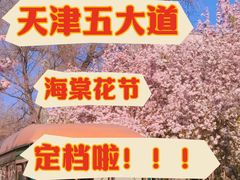 -天津五大道文化旅游区