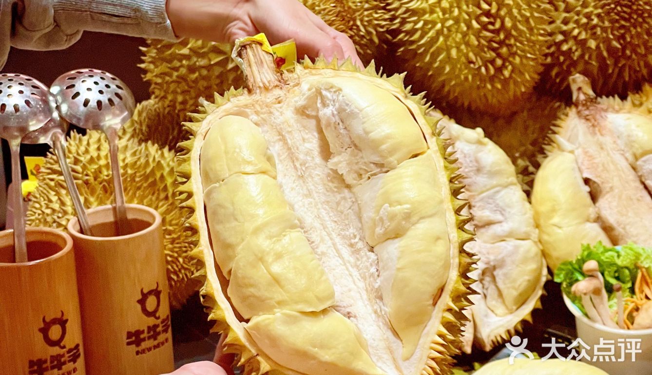 鲜榴莲无线供应绝不绝？