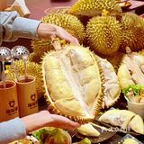 鲜榴莲无线供应绝不绝？
