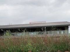 -白鹭湾湿地公园