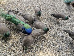 -南京金牛湖风景区