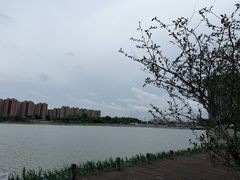 -映月湖中央公园