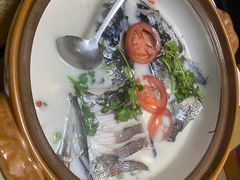 -全乐鱼馆·淳牌有机鱼直营店