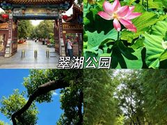 -昆明市博物馆(昆明市文物保护和考古研究中心)