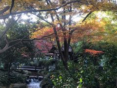 -中国茶叶博物馆(双峰馆区)