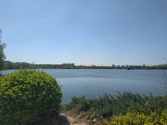 -大兴滨河森林公园